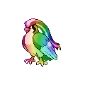 Rainbow Pidgeot
